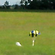 Image for article titled Ordinary Guys Send Picture-Taking Balloon 22.27 Miles High